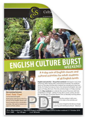 Culture Burst