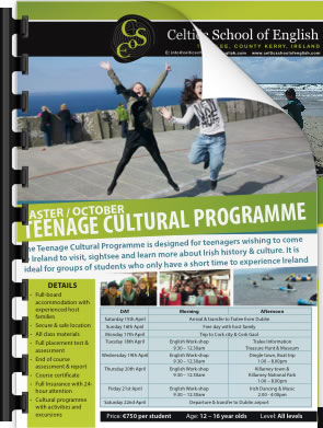 Teenage Cultural Programme