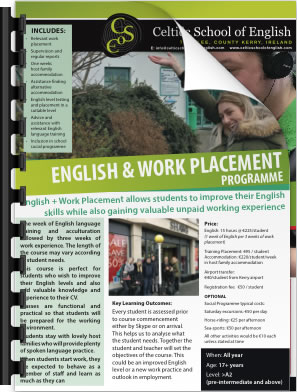 Work Placement